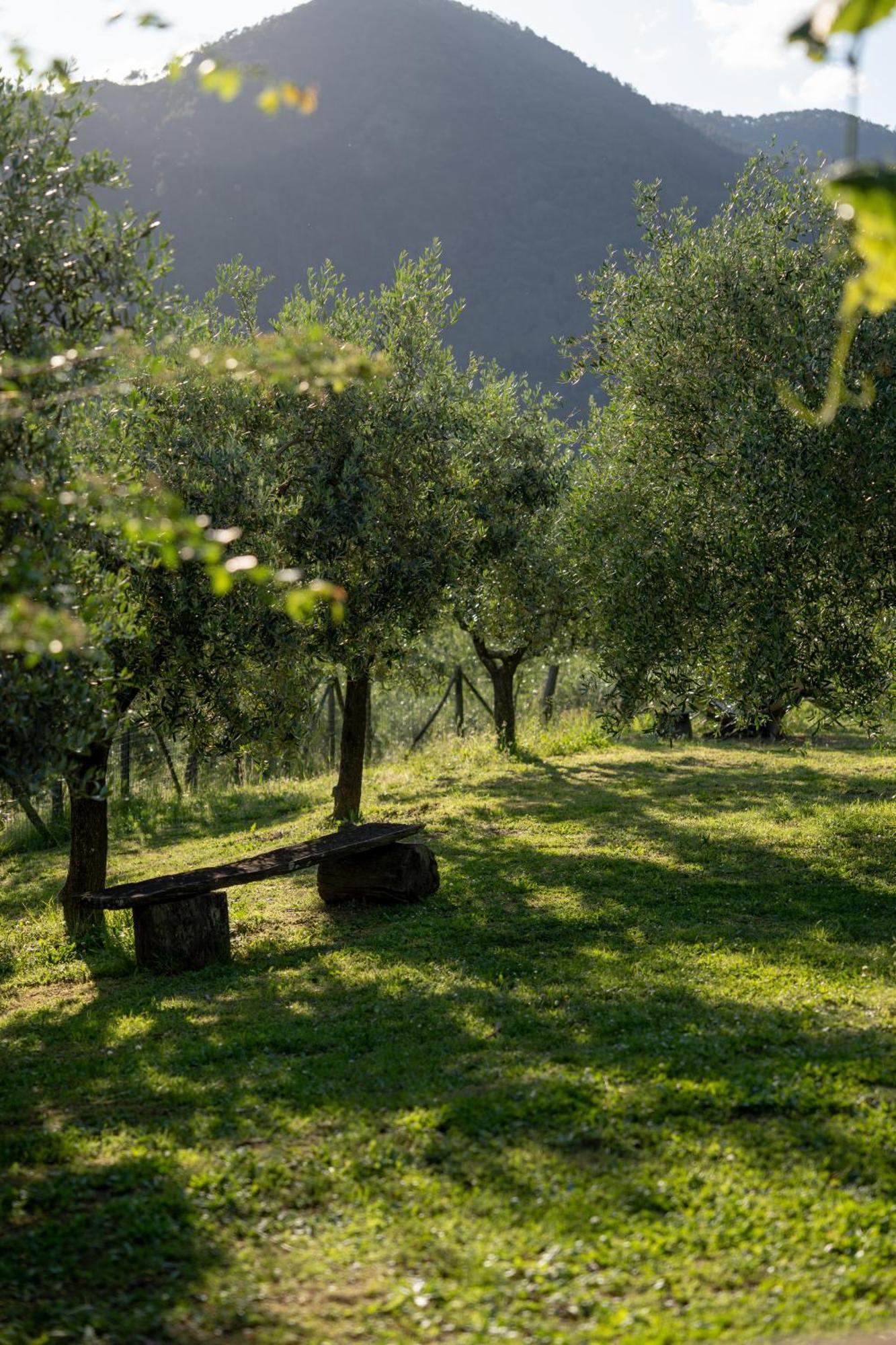Villa I due Ghiri à Calice al Cornoviglio Extérieur photo